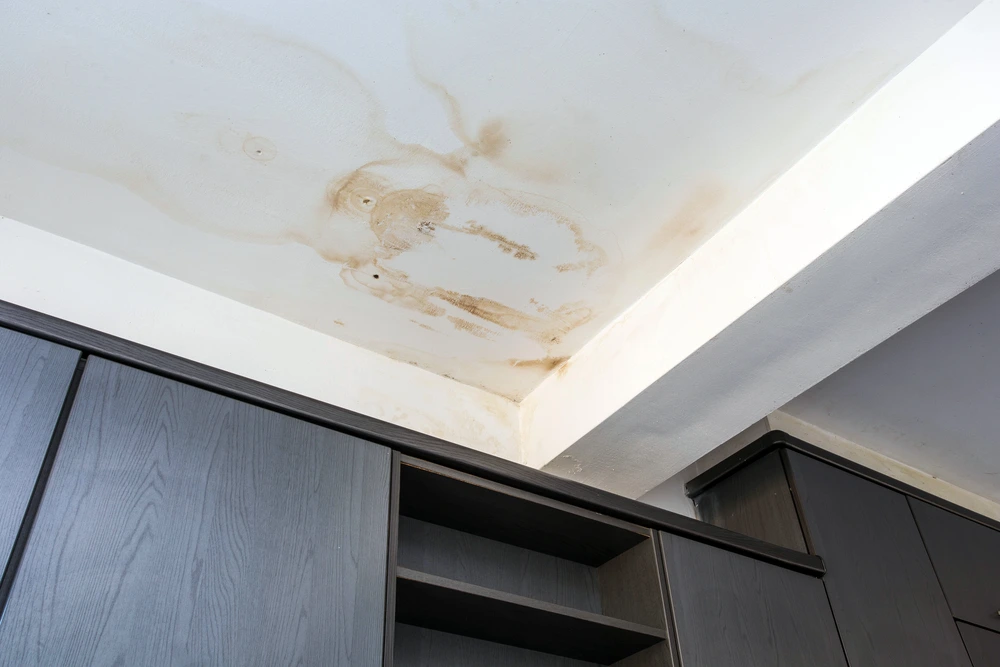 Signs of water damaged roof, ceiling stains