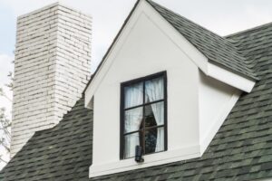 Professional roofing services in Snohomish